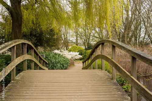 wooden bridge in the park 