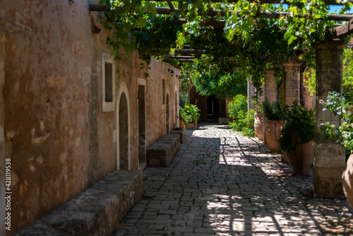 Fototapeta Naklejka Na Ścianę i Meble -  A shaded back yard with grapevines covering from the sun. Crete island, Greece