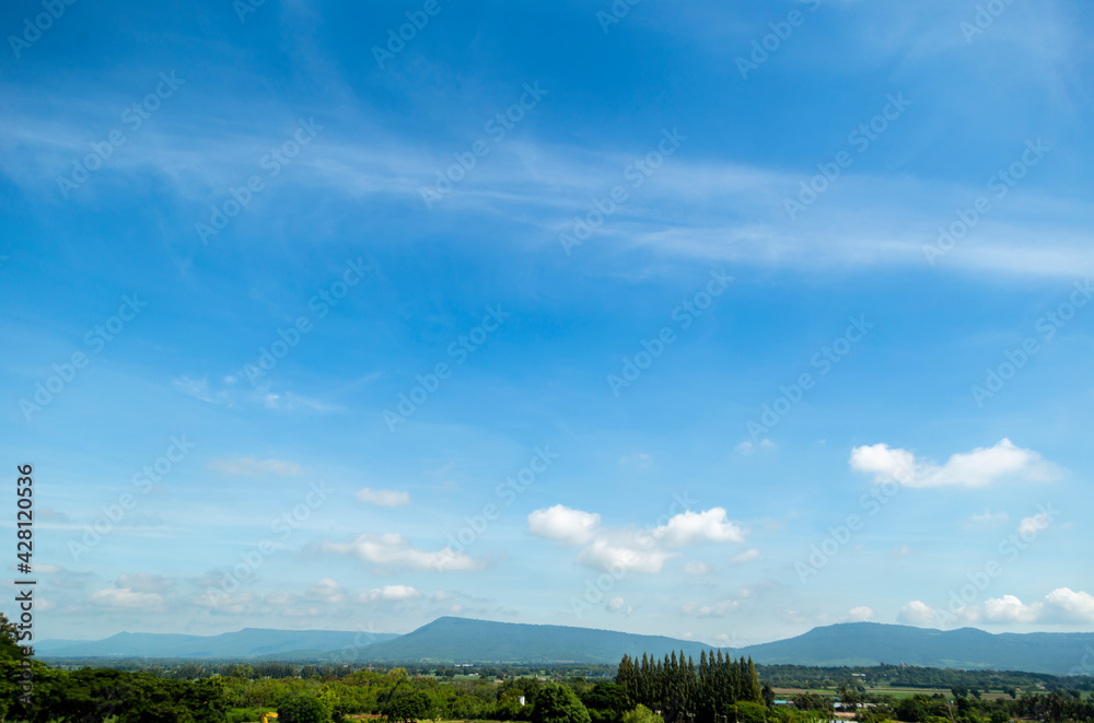 green field and sky