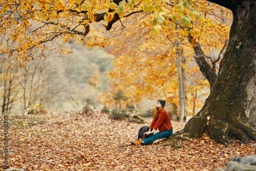 woman with backpack in the park and fallen leaves landscape Tall big tree autumn