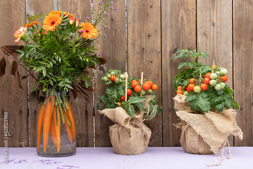 Tableau sur toile Original organic bio bouquet with flowers and carrots and Ripe Cherry Tomato Gro