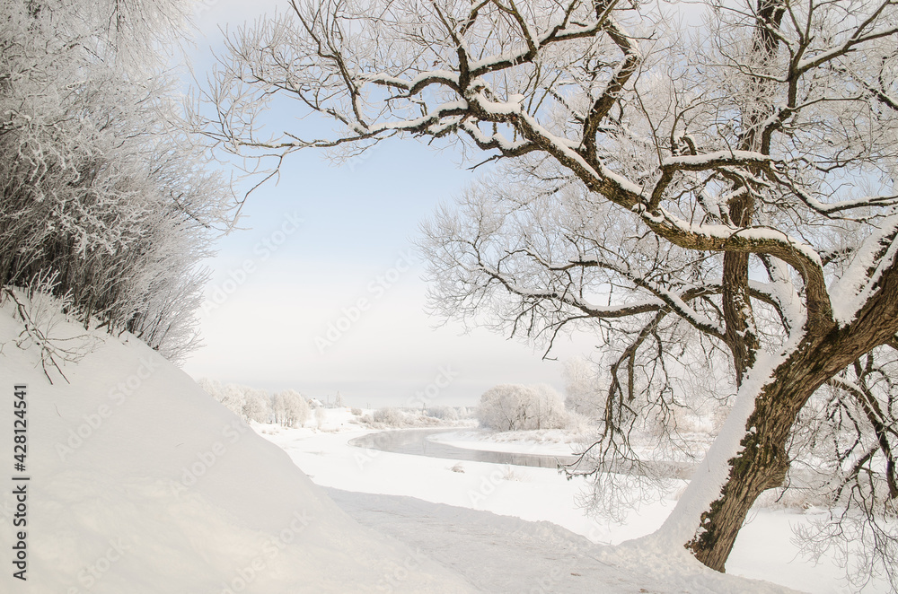 Fototapeta premium Frost on the trees on a snowy winter day. Skrunda, Latvia.