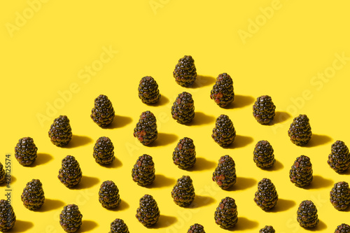 Minimal pattern of organic natural blackberries. Arrangements on optimistic yellow background with creative coly space. photo