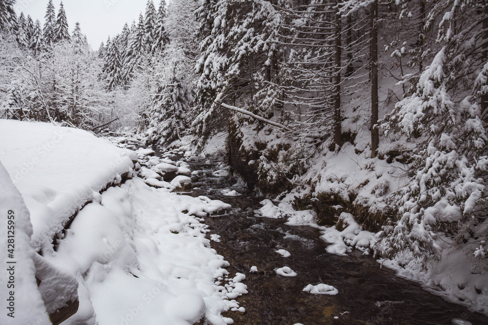 Piękny zimowy widok na panoramę gór Tatry