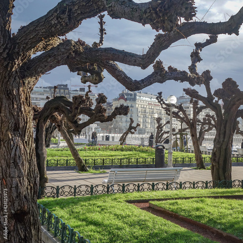 San Sebastian, Spain - April 2, 2021: Tamarind trees in front of city hall in Alderdi Eder Park photo