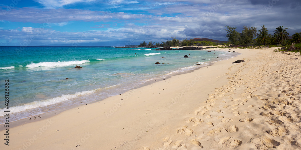 Panoramic view of the sand beach and blue ocean in Hawaii.