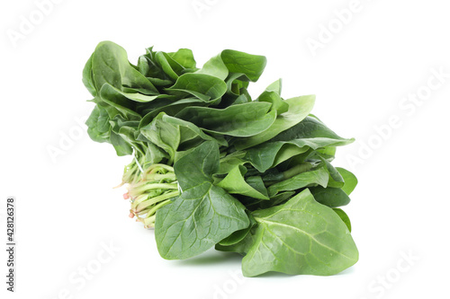 Raw fresh spinach isolated on white background