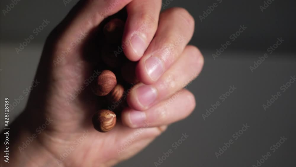 A bunch of hazelnuts falling from hand A bunch of hazelnuts falling from hand