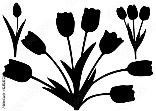 Flowers tulips in the set. Vector image.