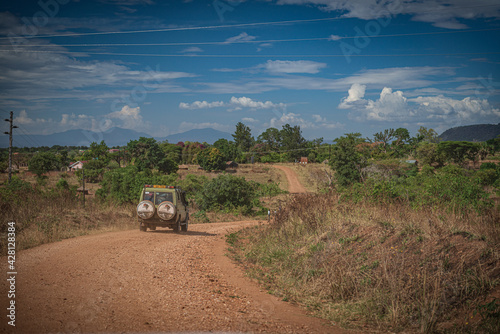 Road in savannah  African landscape  Uganda  Africa