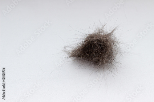 A ball of cat hair against a light background. Wool after grooming a pet on a white background. Cat fur isolated on white background, close up. Copy space. Allergy source