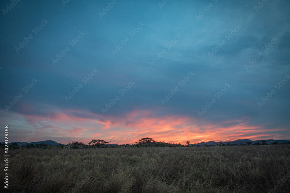Sunrise over in savannah , Uganda, Africa