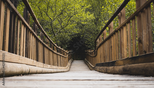 Wooden bridge in the forest in Las Batuecas, Salamanca, Spain. photo