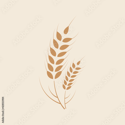 Wheat ears cereal plant grains