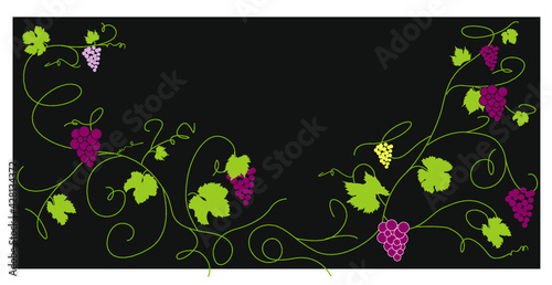 vigne et raisin