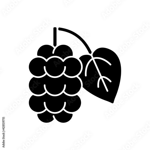 Mulberry black glyph icon. Morus fruit, blackberry on branch. Food ingredient. Botanical allergen. Allergy for plant. Silhouette symbol on white space. Vector isolated illustration