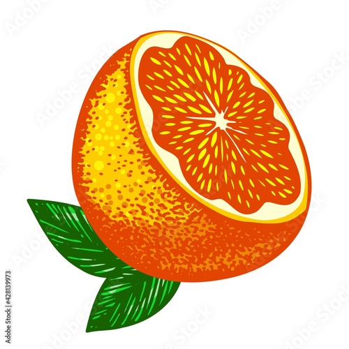 A bright fluorescent cut orange with two green leaves. Vector friuts design elements isolated on white.