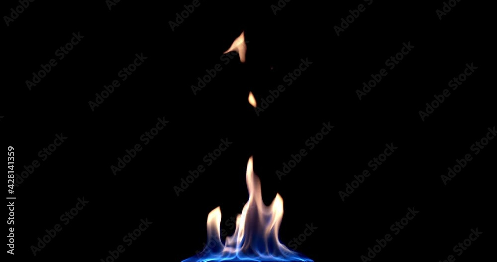 Fire flame Isolated on black background. Fire Flames Igniting And Burning Slow Motion. A line of real flames ignite on a black background Real fire. Perfect for the layer with different blending modes Fire flame Isolated on black background. Fire Flames Igniting And Burning Slow Motion. A line of real flames ignite on a black background Real fire. Perfect for the layer with different blending modes