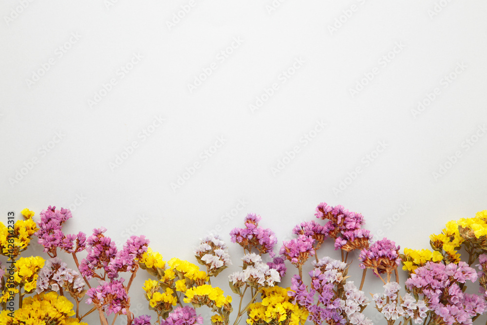 Flowers composition. Gypsophila flowers on grey background. Spring, summer concept. Flat lay, top view.
