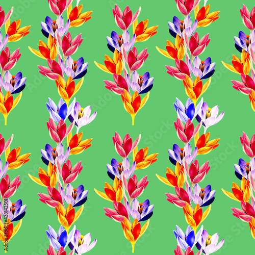 Crocus flower garland seamless pattern.