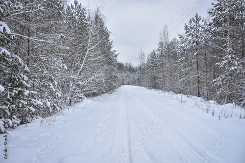 snow-covered road among winter forest, winter road