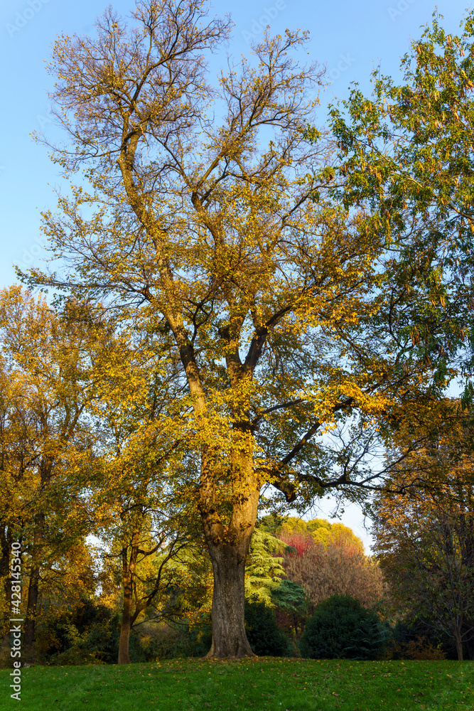 Historic Sempione park in Milan at November