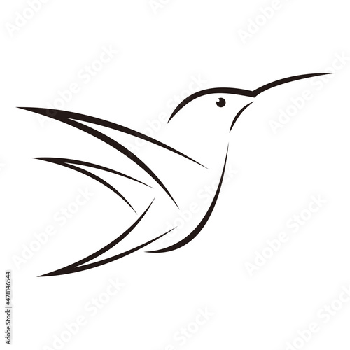 hummingbird design on white background. icon symbol. Illustrator. Black and White