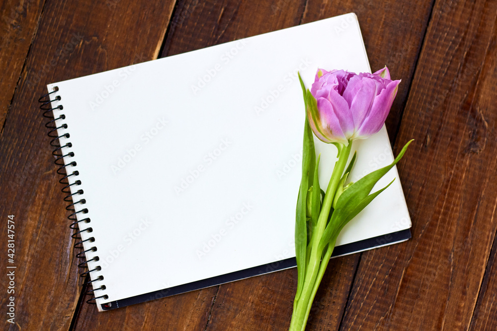 Pink tulip with notebook on wooden background. Background for greetings, invitations , and postcards. Pink tulip with notebook on wooden background. Background for greetings, invitations , and postcards.