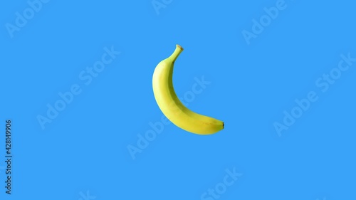 moving bananas in loop spinning motion at blue chroma key background