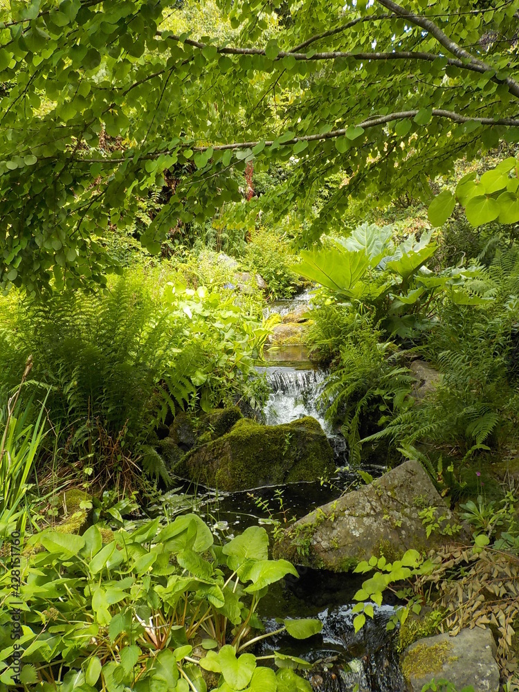 Edinburgh Royal Botanic Gardens,Scotland 