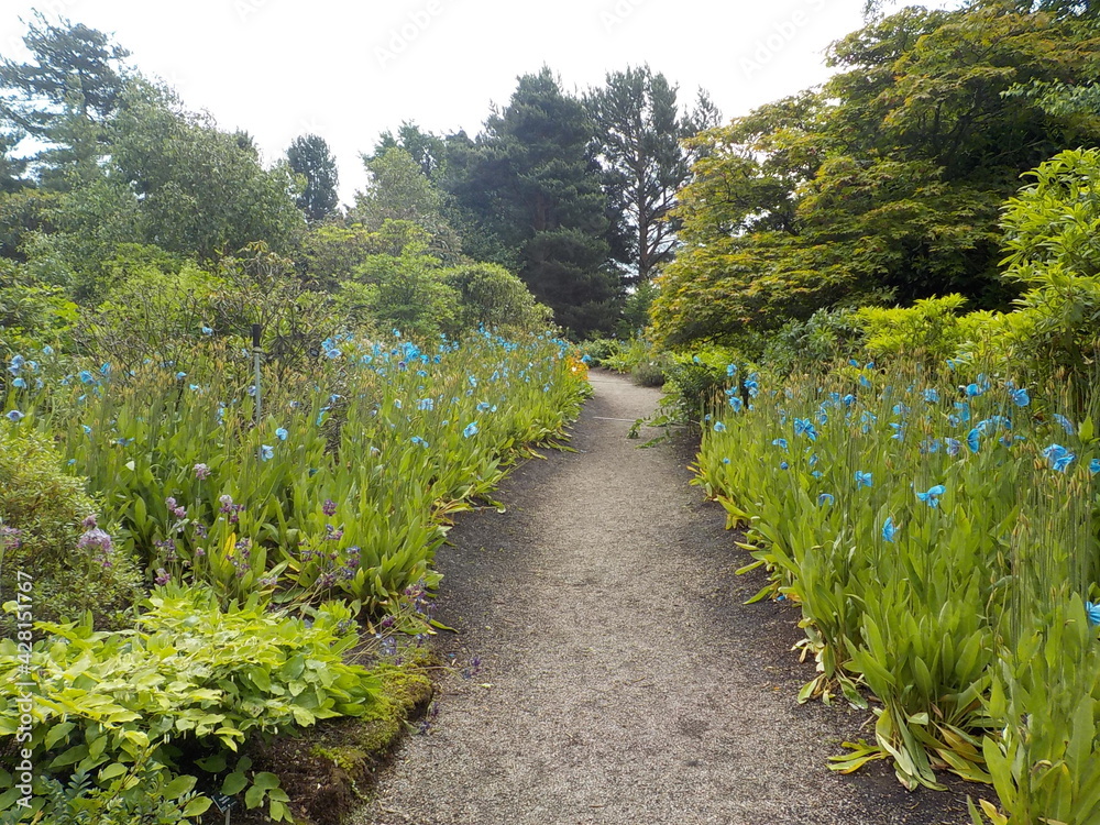 Edinburgh Royal Botanic Gardens,Scotland Edinburgh Royal Botanic Gardens,Scotland