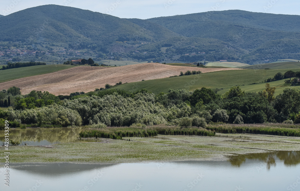 Area naturale del lago di Santa Luce in provincia di Pisa