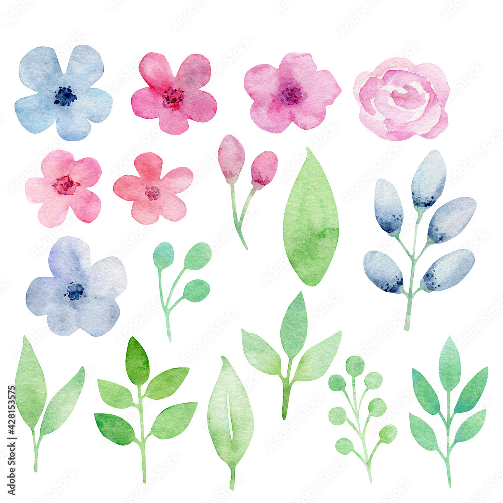Set of watercolor flowers,leaves and branches
