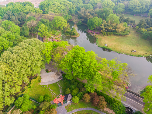Early spring aerial scenery of Moshan Rhododendron Garden in East Lake  Wuhan  Hubei  China
