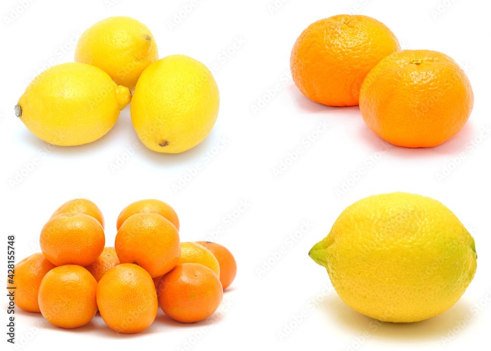 Citrus fruit collage