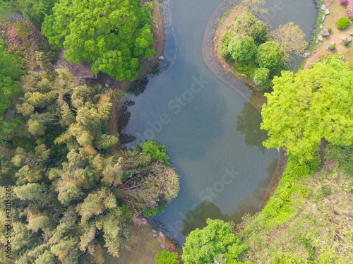 Early spring aerial scenery of Moshan Rhododendron Garden in East Lake, Wuhan, Hubei, China