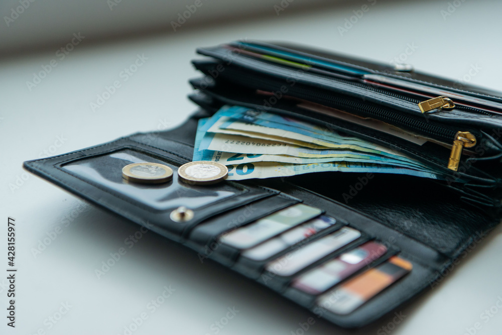 wallet with money wallet with money