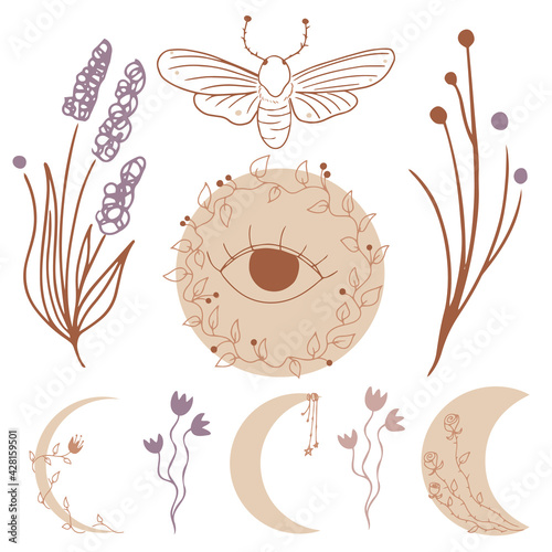 Hand drawn set of celestial themed clipart with crescent moon phases and herbs