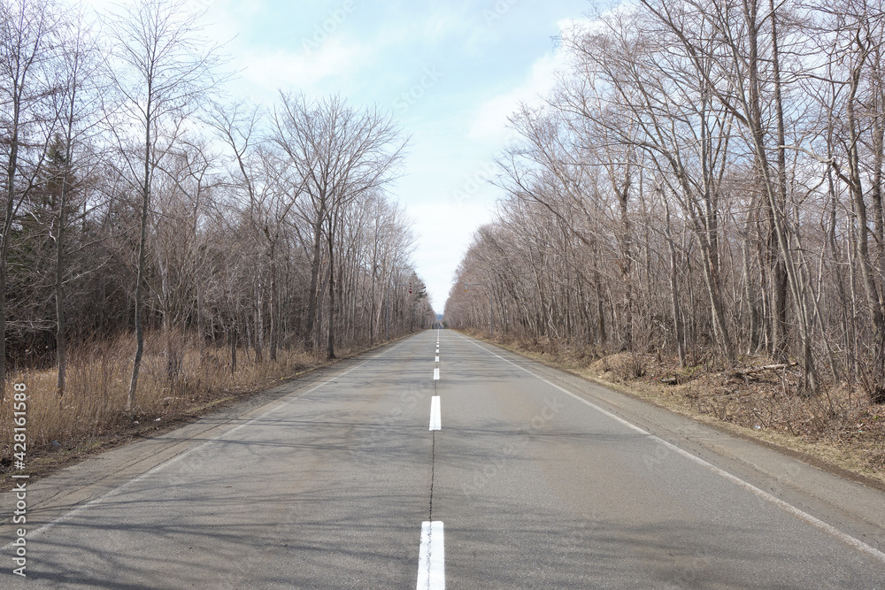 Fototapeta premium 樽前錦岡線(支笏湖周辺) / Tarumae Nishikioka Line (Around Lake Shikotsu)