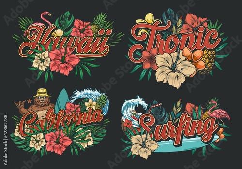 Summer surfing vintage colorful labels