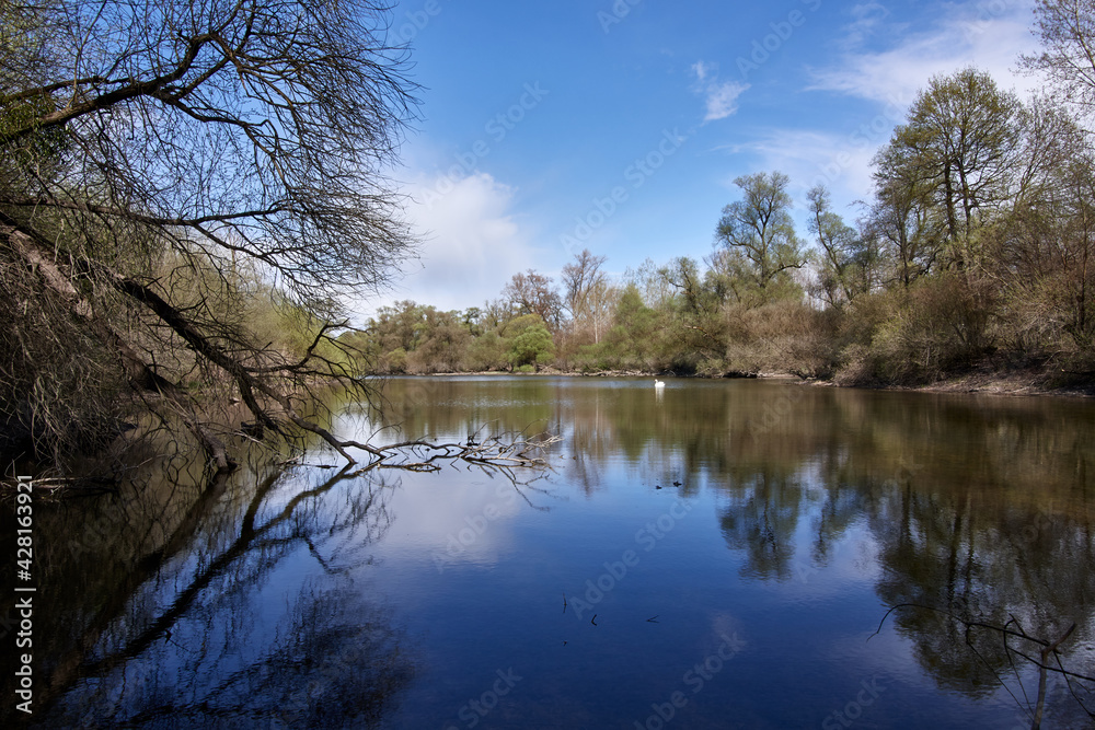 Unspoiled nature and lake in the Rheinauen wetlands in Plittersdorf, Baden-Württemberg, Germany.