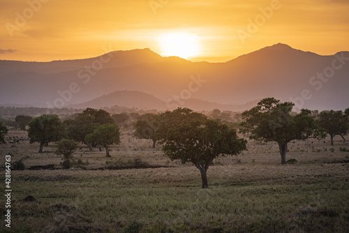 sunset in the mountains in the savannah in Kidepo Valley, Uganda, Africa