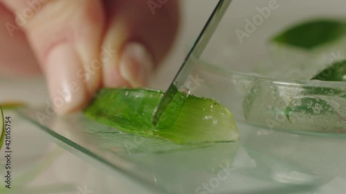 Woman Extracting Aloe from Aloe Plant