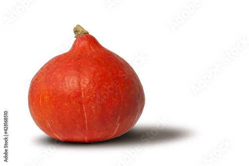 One raw red pumpkin vegetable isolated on white 