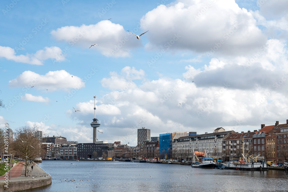 Fototapeta premium cityscape of Rotterdam 