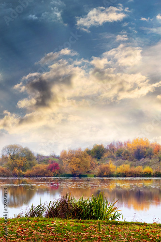 Autumn view with river and colorful trees on the shore, fallen leaves on the grass by the river, sunset in the picturesque sky by the river