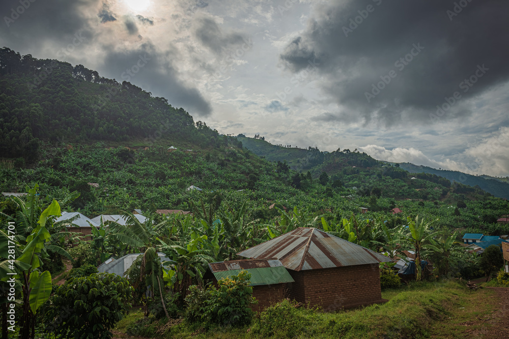 Pygmy peoples village next to Bwindi Impenetrable Forest in Uganda, Africa