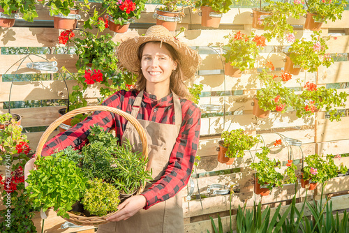 woman nurseryman in a greenhouse smiles with a wicker basket and aromatic plants