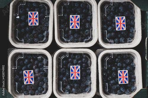 High angle close up of punnets of freshly picked blueberries. photo