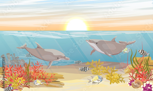 A pair of Common bottlenose dolphin Tursiops truncatusswim underwater. The bottom of the tropical sea with corals, fish and algae. Sea surface at sunset. Realistic vector landscape